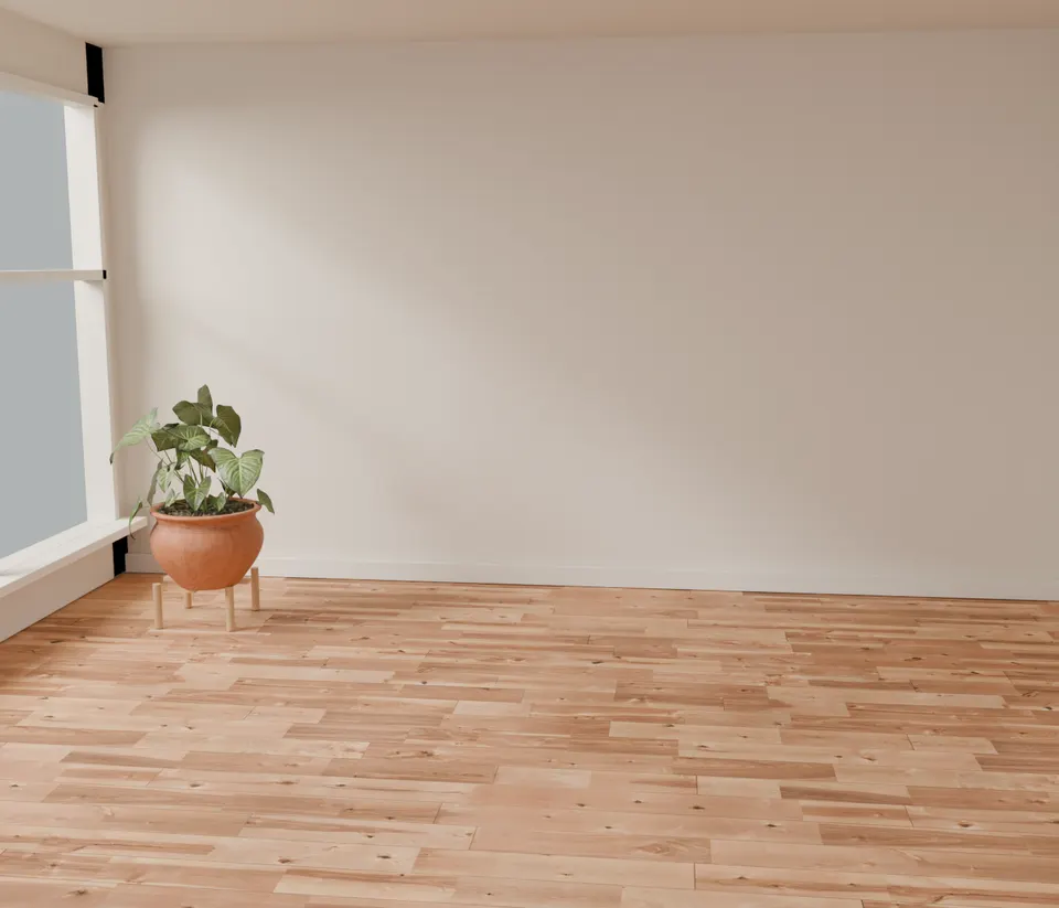 The living room before furnishing